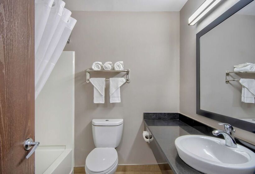 带2个双人床的标准工作室, Motel 6  Georgetown, Ky  Lexington North