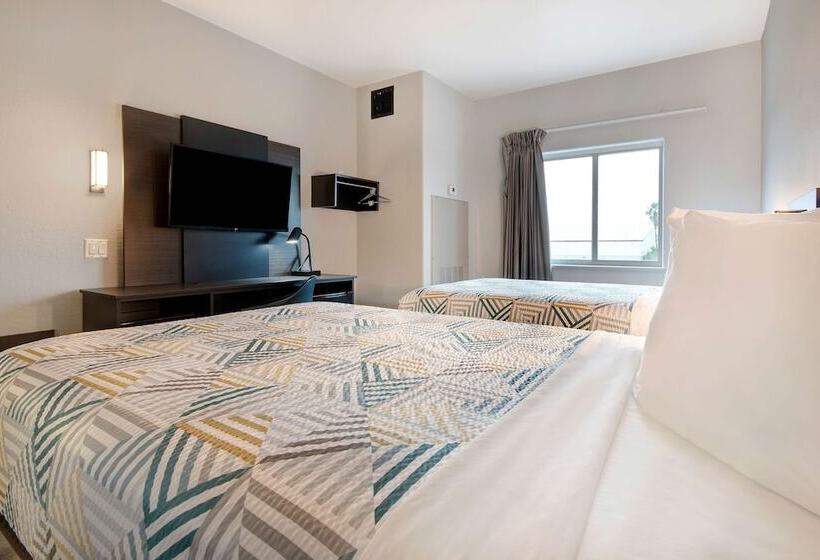 디럭스 룸, Motel 6pharr, Tx