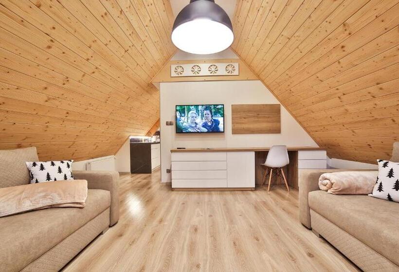 Апартаменты Deluxe 1 Спальня, Apartamenty Kościelisko