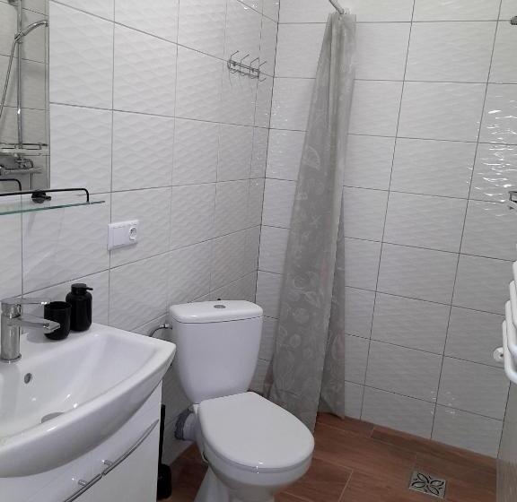 Номер Стандарт, Sowinka