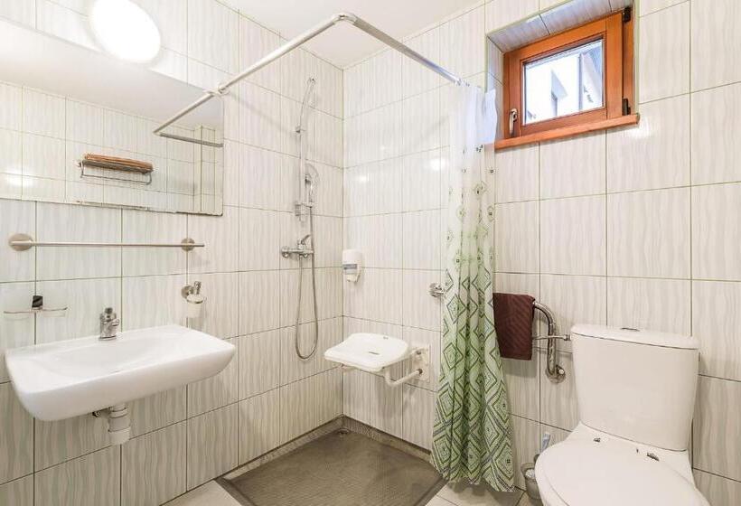 غرفة قياسية لذوى الاحتياجات الخاصة, Wołosań B&b