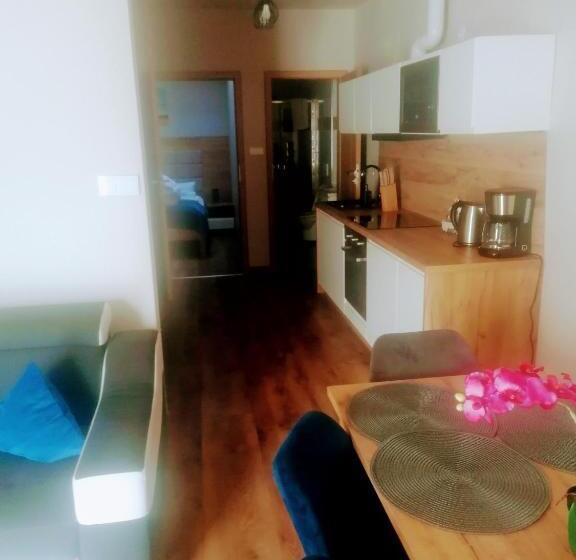 带1个卧室带观景的公寓, Apartamenty Pruskie