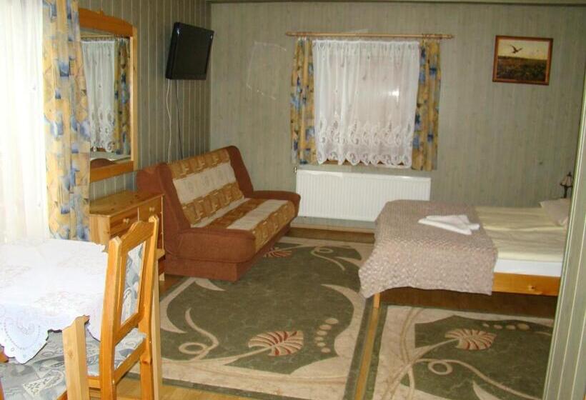 חדר סטודיו סטנדרד, Willa Stenia Apartamenty