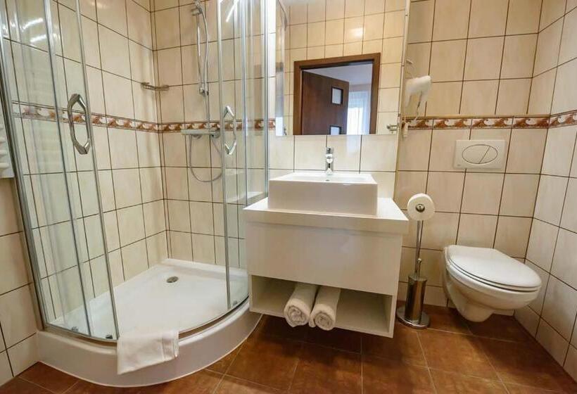 Номер Deluxe, Ośrodek Szkoleniowo Wypoczynkowy Galicya