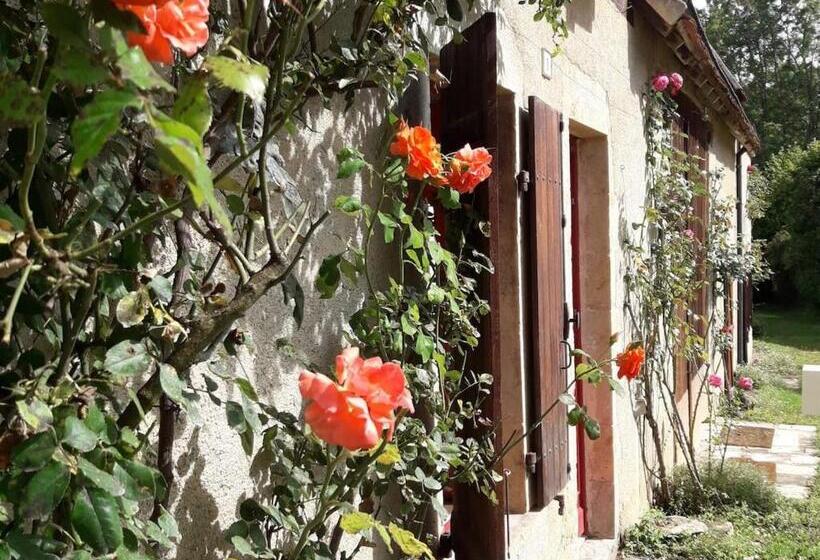 Номер Стандарт, Guestroom Nohant Vic, 1 Pièce, 2 Personnes   Fr 1 591 391