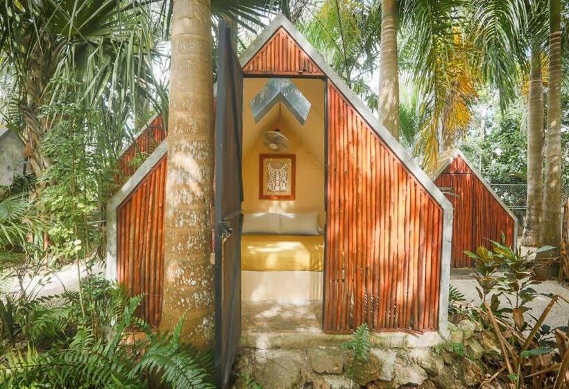 اتاق استاندارد با سرویس بهداشتی مشترک, Glamping Bufo Alvarius Sanctuary Bacalar