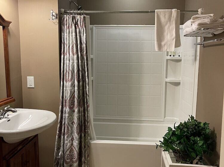 스탠다드 룸, Debary Inn