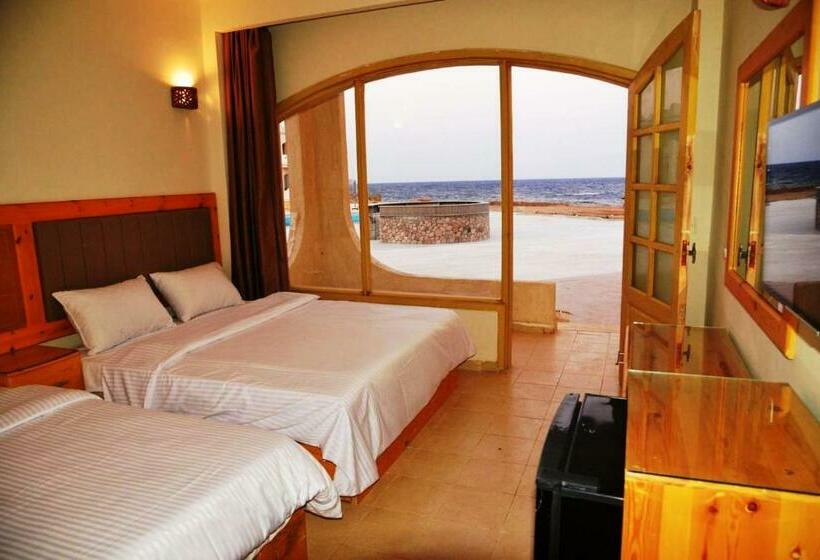 اتاق استاندارد سه نفره, Zain Dive Inn