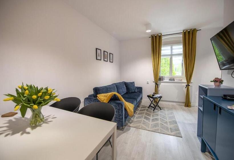 Апартаменты 1 Спальня с Видом, Apartamenty śnieżna 12 Lądek  Zdrój