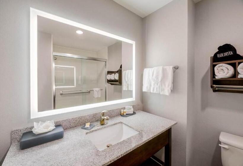 身障者適用キングサイズベッドルーム, La Quinta By Wyndham Fort Worth Eastchase