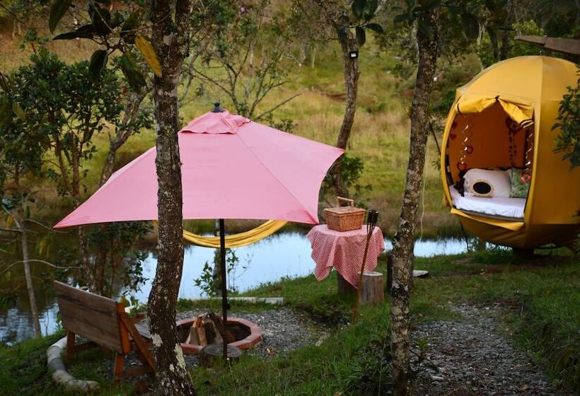 Standard Tent, Glamping Ancestros Ecoparque