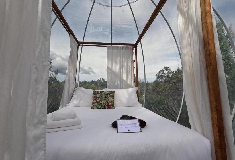 자쿠지 스위트, Glamping Ancestros Ecoparque