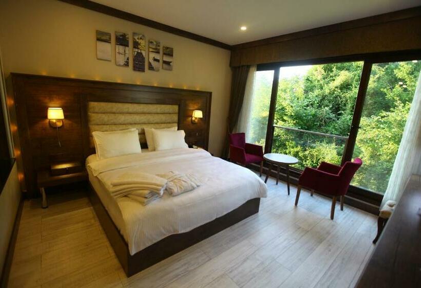 스탠다드 룸, şelale Otel