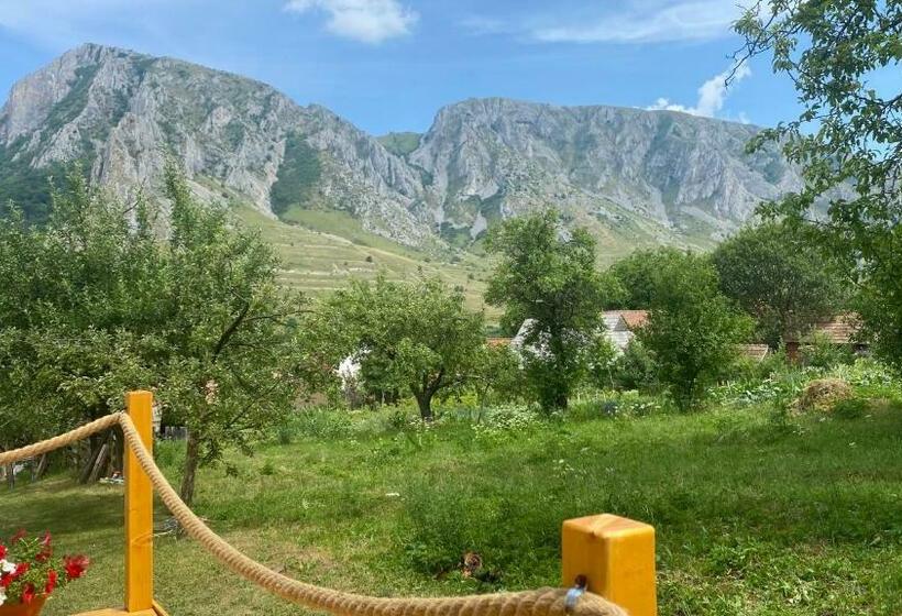 اتاق لوکس با بالکن, Casa Kelemen Irén