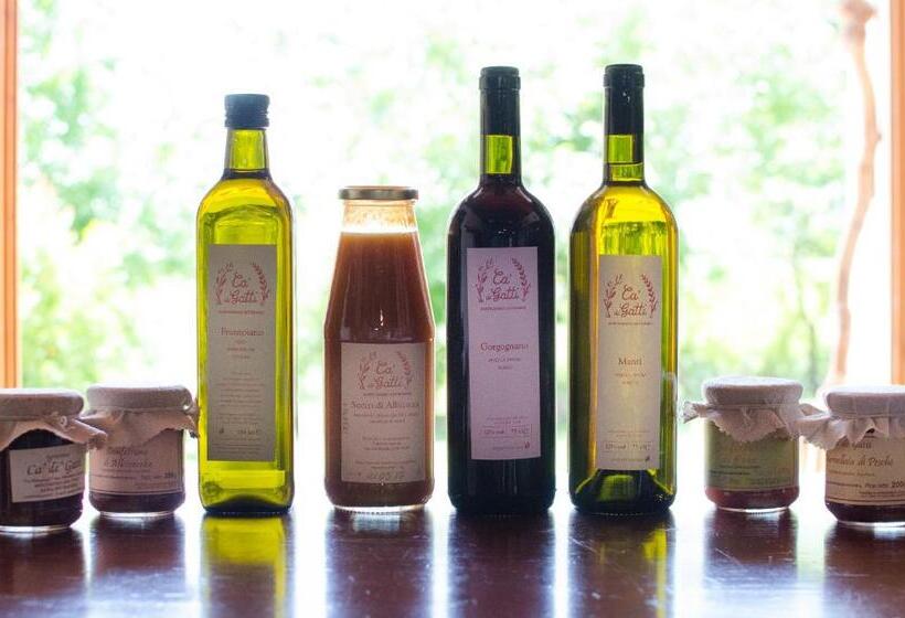 Апартаменты 1 Спальня, Agriturismo Ca'de'gatti