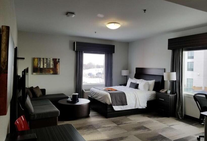 Quarto Estandar, Best Western Plus Airport Inn & Suites