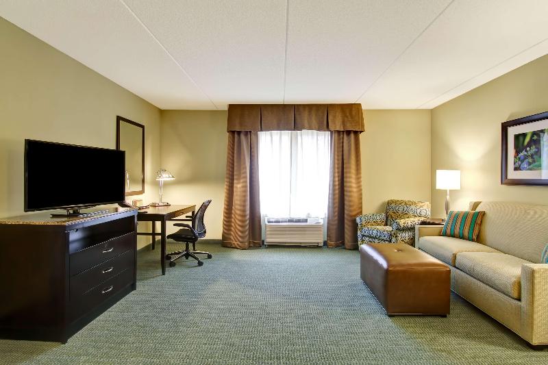 带大床的套房, Hilton Garden Inn Woodbridge