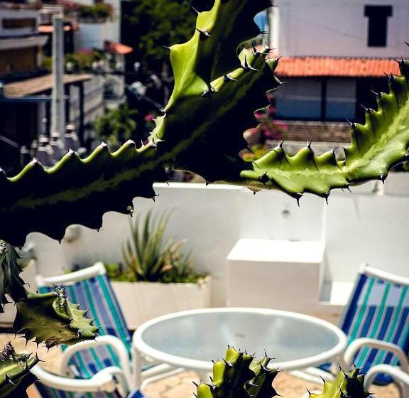 스위트 킹사이즈 침대, The Orange House Santa Marta