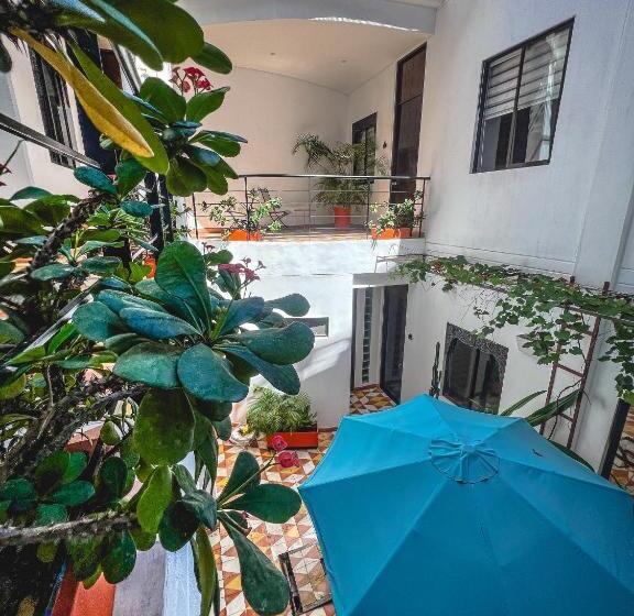 스위트 킹사이즈 침대, The Orange House Santa Marta