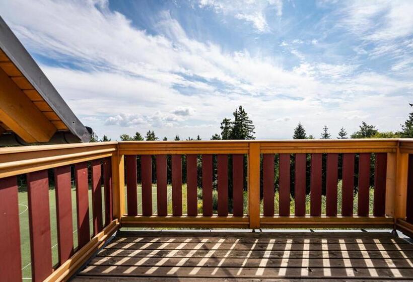 اتاق خانوادگی, Pohorje Village Wellbeing Resort   Forest Hotel Videc