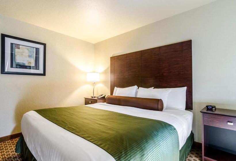 Номер Стандарт, Cobblestone Inn & Suites  Cambridge