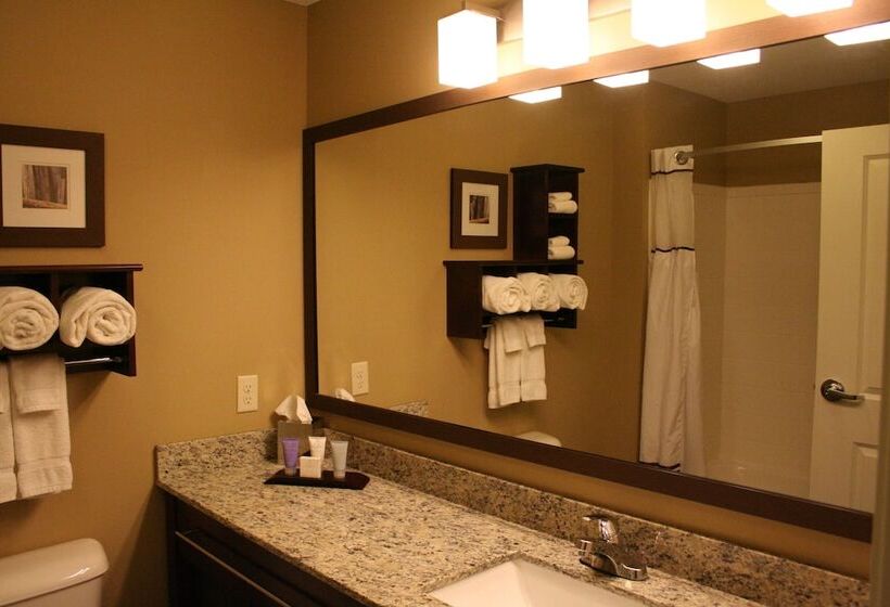 Люкс Кровать Кинг, Grandstay Hotel & Suites   Morris