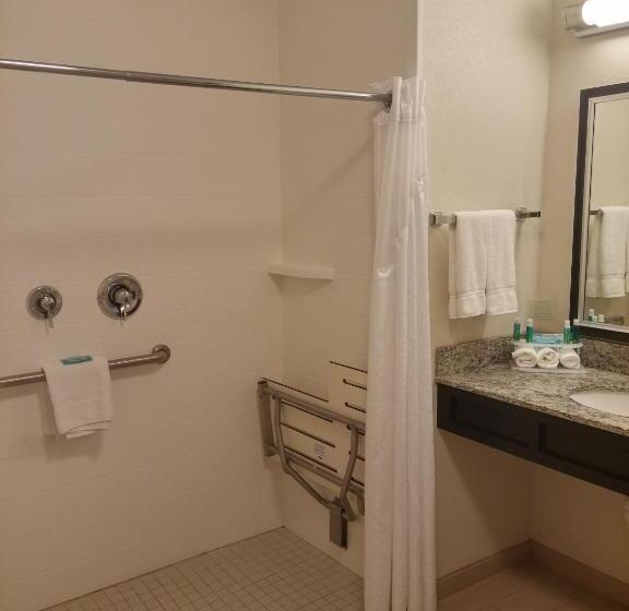장애인을 위한 킹사이즈 침대 스탠다드 룸, Holiday Inn Express & Suites Golden, An Ihg