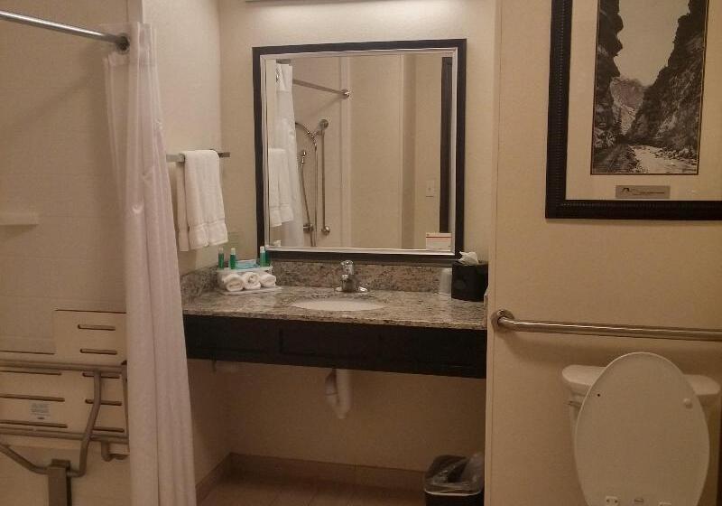 스탠다드 룸 킹사이즈 침대, Holiday Inn Express & Suites Golden, An Ihg