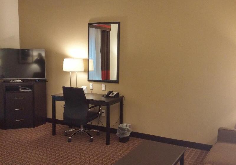스탠다드 룸 킹사이즈 침대, Holiday Inn Express & Suites Golden, An Ihg