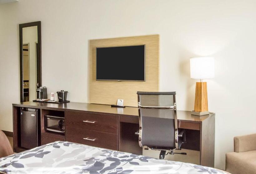스탠다드 룸 더블 침대 2개, Sleep Inn & Suites Parkersburg