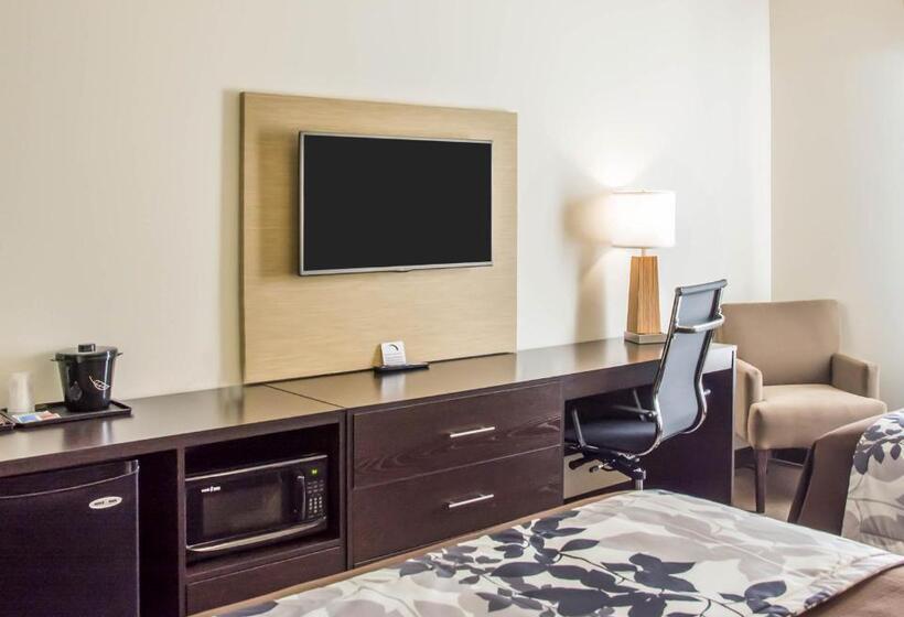장애인을 위한 킹사이즈 침대 스탠다드 룸, Sleep Inn & Suites Parkersburg