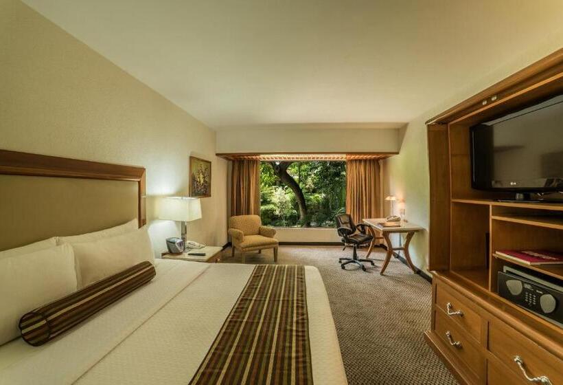 キングサイズベッドのクラブルーム, Wyndham Garden Guadalajara Expo Plaza Del Sol