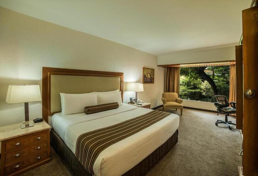 带大床的标准间, Wyndham Garden Guadalajara Expo Plaza Del Sol