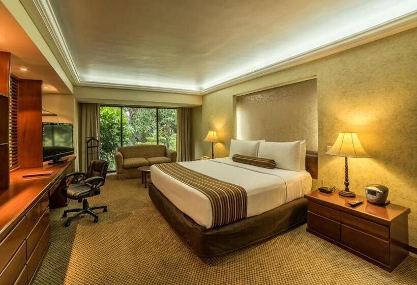 带大床的套房, Wyndham Garden Guadalajara Expo Plaza Del Sol