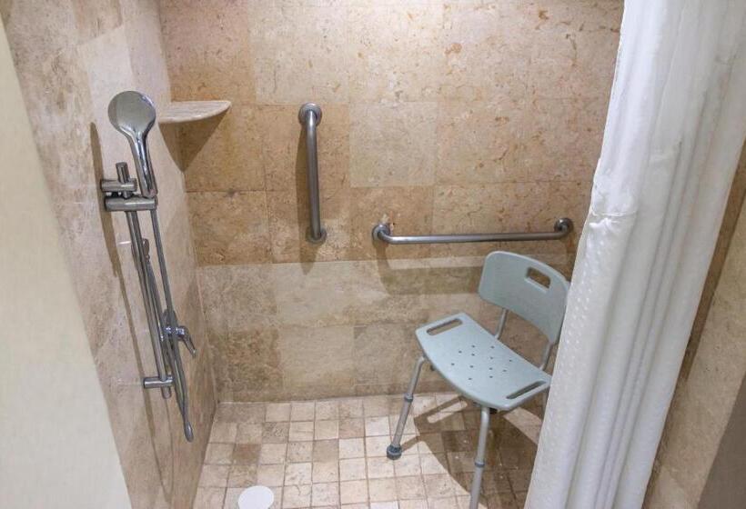 身障者適用スタンダードルーム, Wyndham Garden Guadalajara Expo Plaza Del Sol