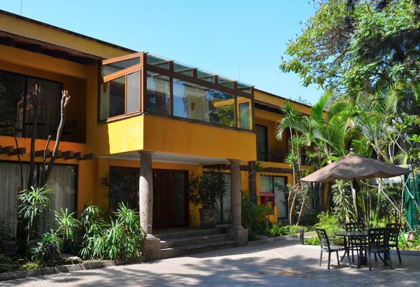 小型套房, Wyndham Garden Guadalajara Expo Plaza Del Sol