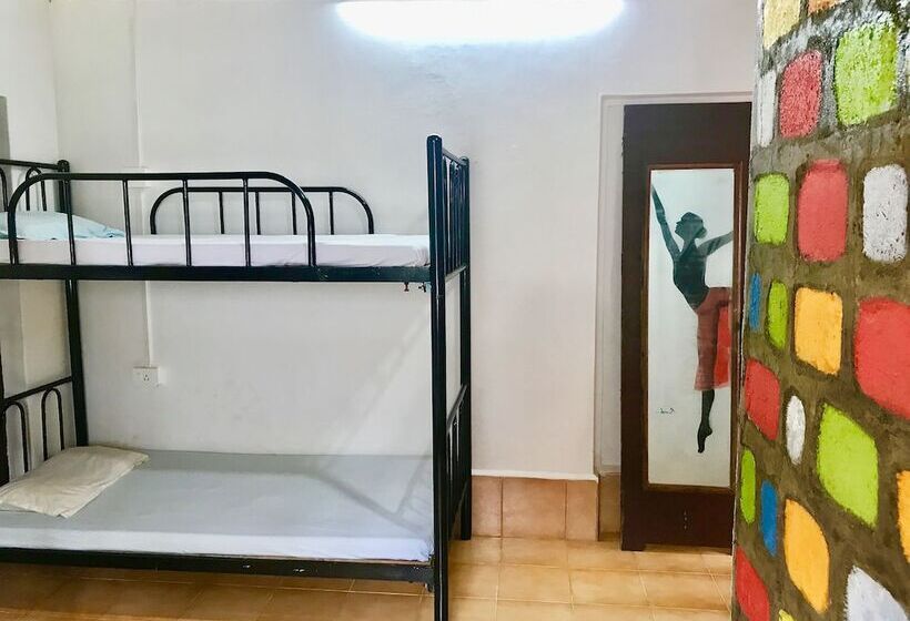 共用房间的床, Bricks And Bamboo Hostel