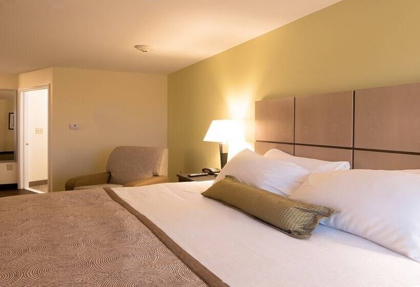 스탠다드 스튜디오, Candlewood Suites Gonzales   Baton Rouge Area, An Ihg