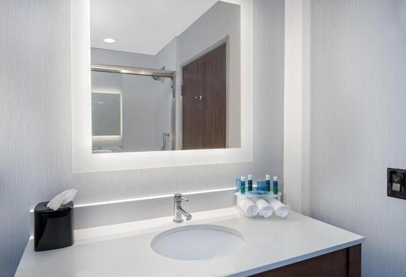 스탠다드 룸 킹사이즈 침대, Holiday Inn Express & Suites Round Rock   Austin N, An Ihg