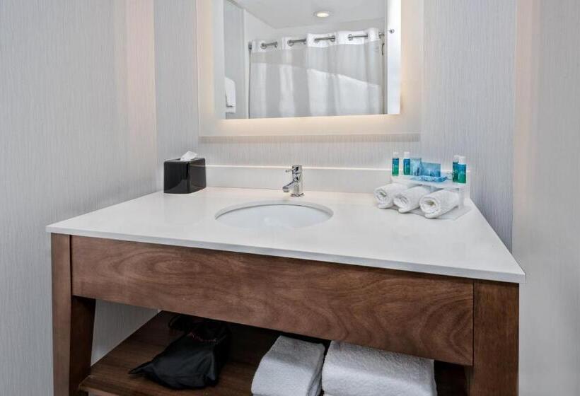 장애인을 위한 킹사이즈 침대 스탠다드 룸, Holiday Inn Express & Suites Round Rock   Austin N, An Ihg