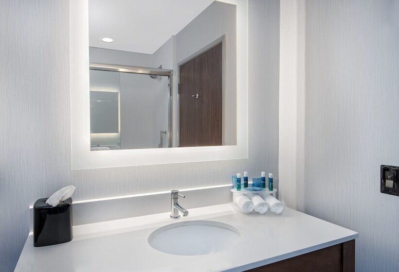 스탠다드 룸, Holiday Inn Express & Suites Round Rock   Austin N, An Ihg