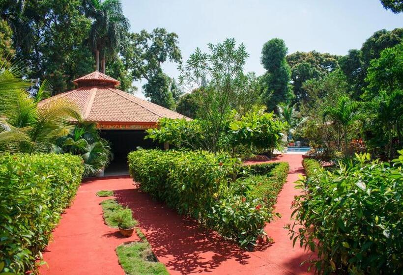 استودیوی سوپریور, Auberge Villa Cana