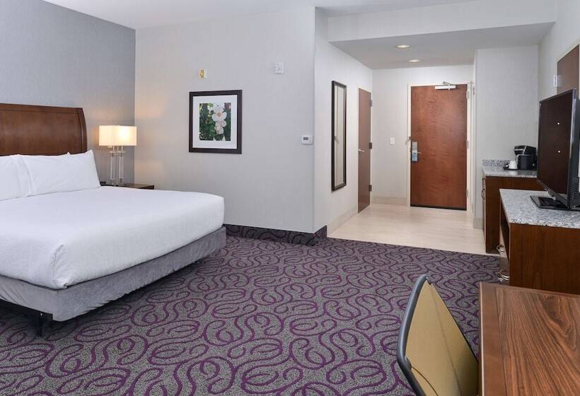Номер Стандарт Кровать Кинг Адаптированный для Инвалидов, Hilton Garden Inn Hobbs