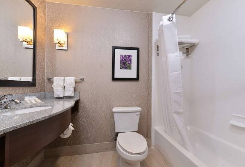 Номер Стандарт Кровать Кинг Адаптированный для Инвалидов, Hilton Garden Inn Hobbs