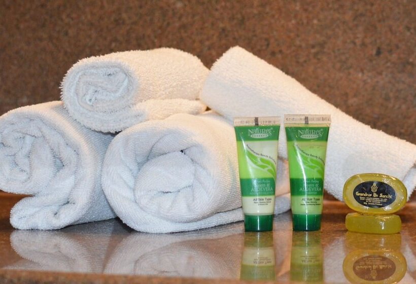 Номер Deluxe, Grandeur De Sanchi  Luxury Beach Resort & Spa