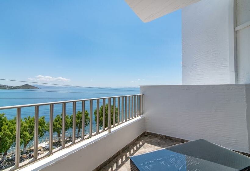 带海景的标准房, Agali Bay