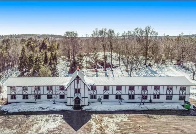Номер Стандарт, Snow Chasers Lodge