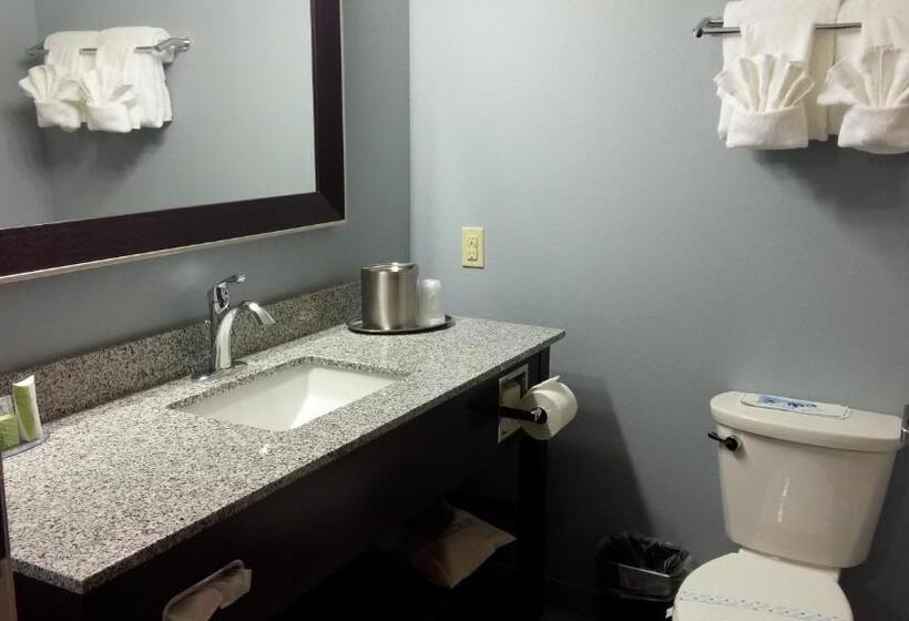 Люкс Адаптированный для Инвалидов, Best Western Plus Boardman Inn & Suites