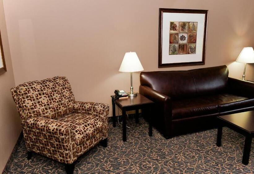Номер Executive Кровать Кинг, Cobblestone Inn & Suites   Denison | Majestic Hills