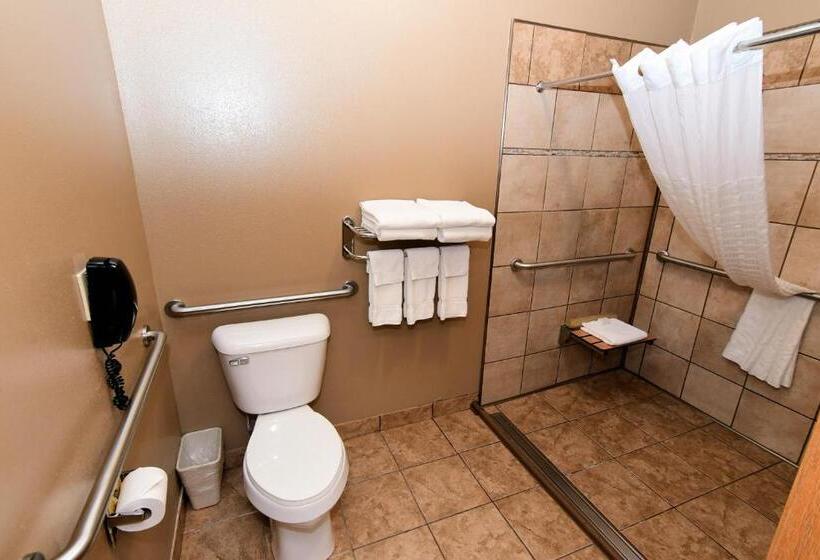 Номер Стандарт Кровать Кинг Адаптированный для Инвалидов, Cobblestone Inn & Suites   Denison | Majestic Hills